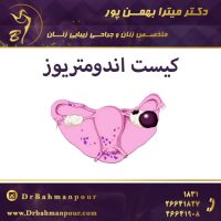 کیست آندرومتریز