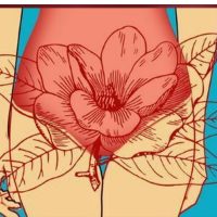 عملیه تجمیلیه الاشفار