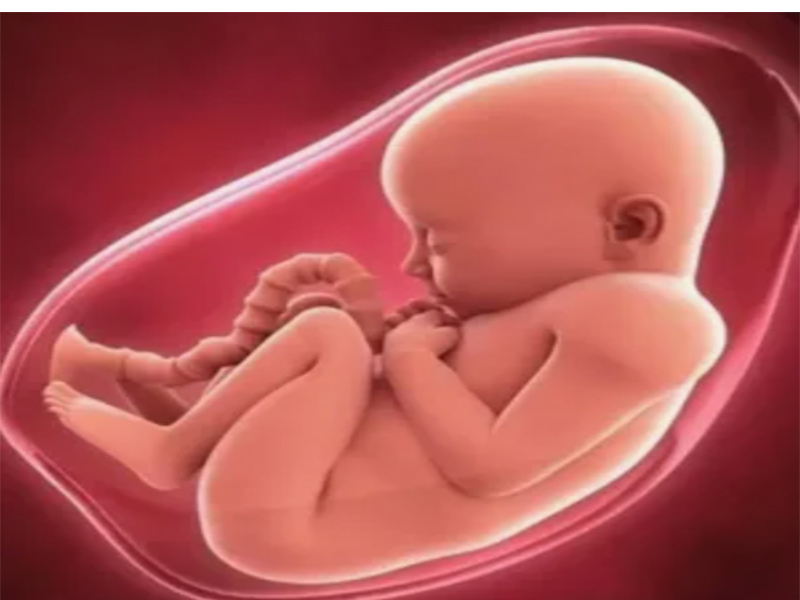 هل یمکن الحمل مع السائل ماقبل القذف؟