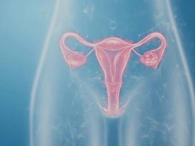 تأثير عملية تجميل الشفرين على الرغبة الجنسية