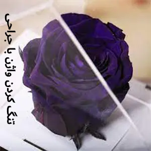 تنگ کردن واژن با جراحی